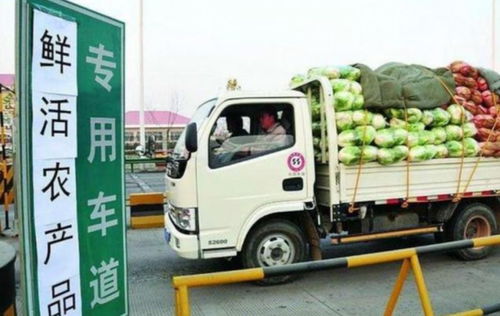 貨車司機(jī)夏天最不愿意拉的5種貨物，拉完一趟10天都緩不過來